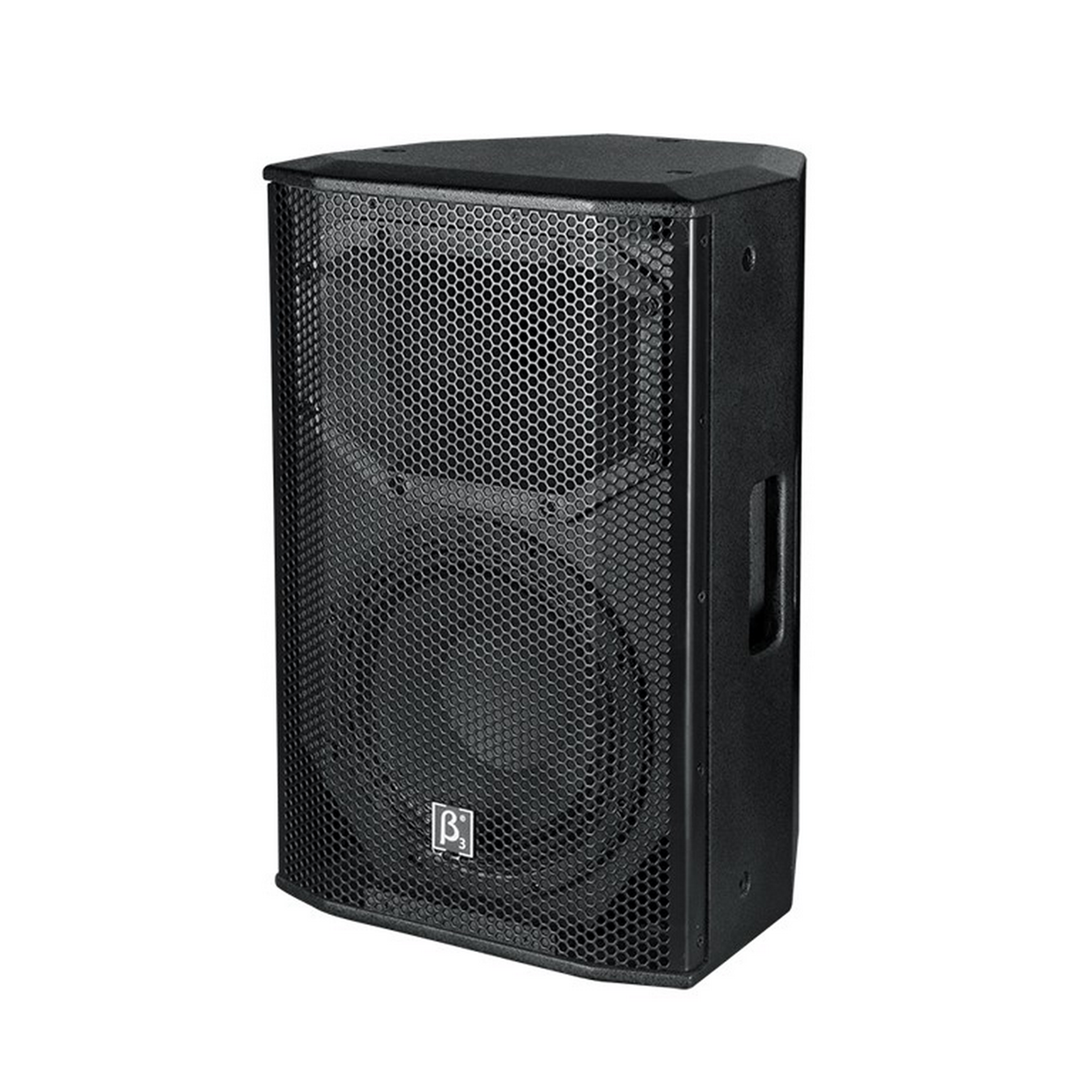 רמקול אקטיבי ''10 תיבת עץ 450W RMS
