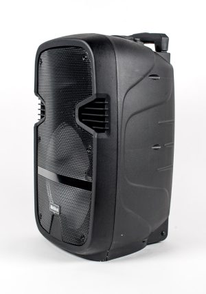 בידורית קריוקי ניידת 12 אינטש RichTech RT12 - מתצוגה
