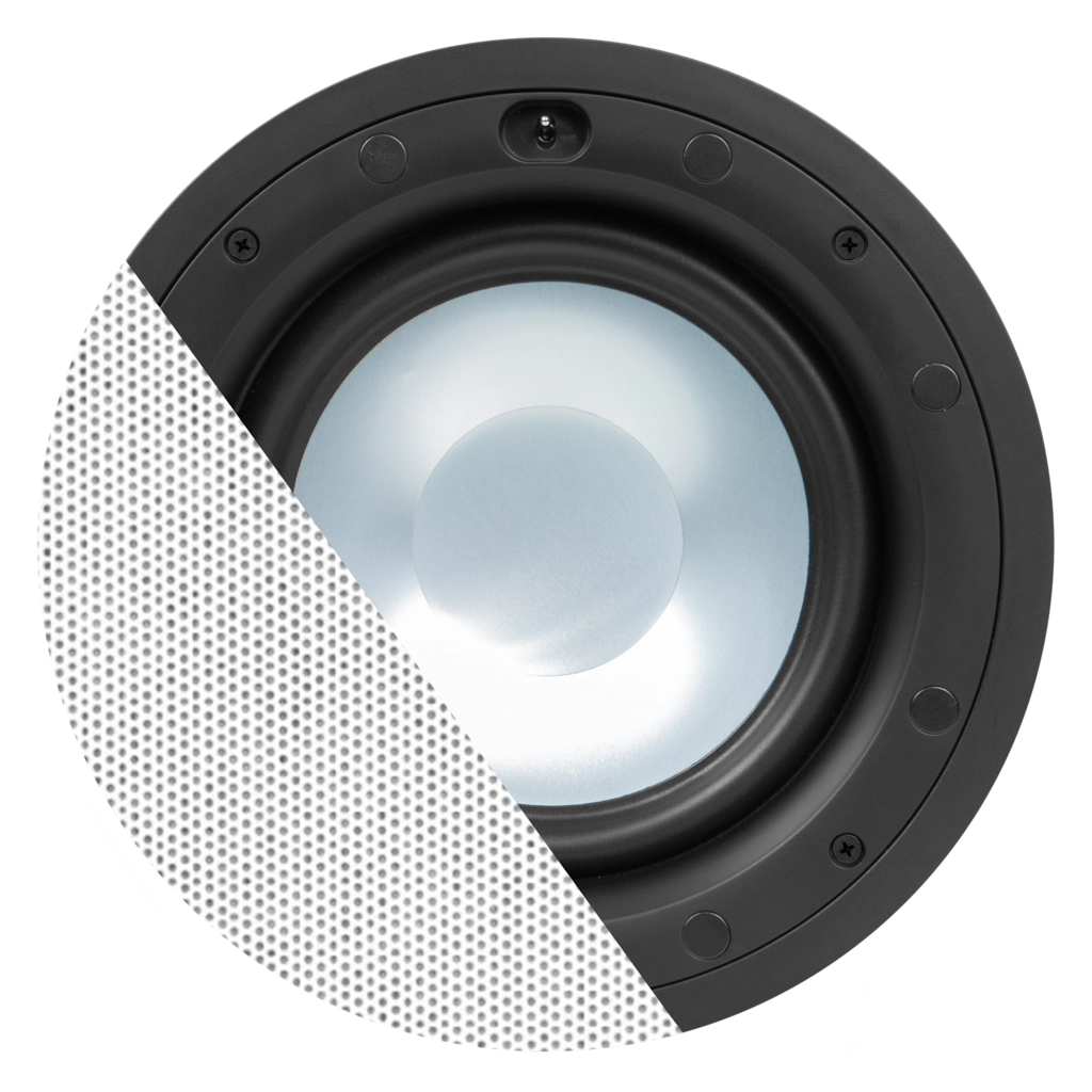 CELO8S AUDAC – תמונה 2